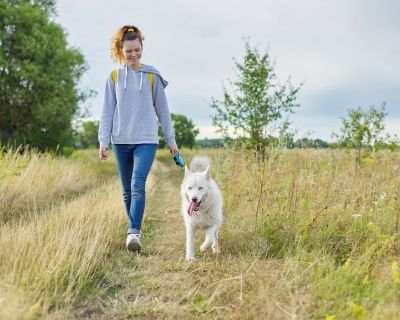 Pies w górach z panią